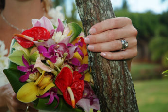 hi-kauai-venue-fern-grotto-02